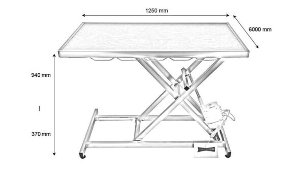 Table consultation électrique tapis et cadre